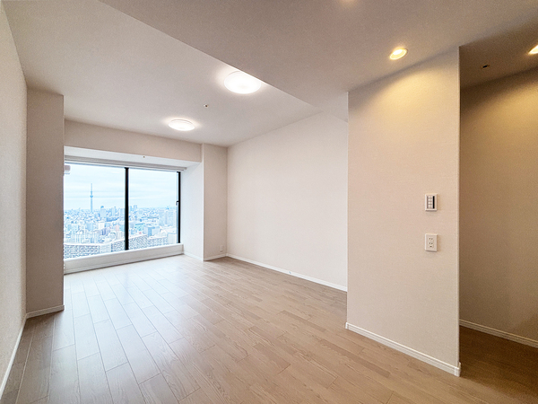 シティタワーズ豊洲ザ・ツイン　サウスタワー