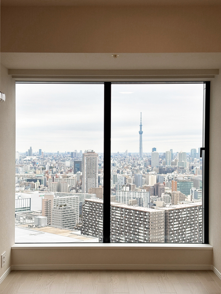 シティタワーズ豊洲ザ・ツイン　サウスタワー（6）