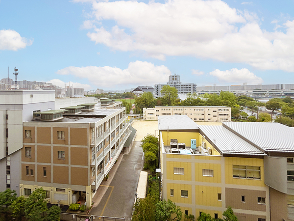 トキアス デライト・ウイング（2）