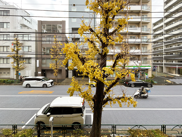 マイキャッスル小石川(6)