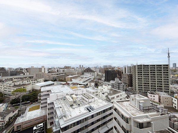 ランドステージ東大島エグゼタワー（3）