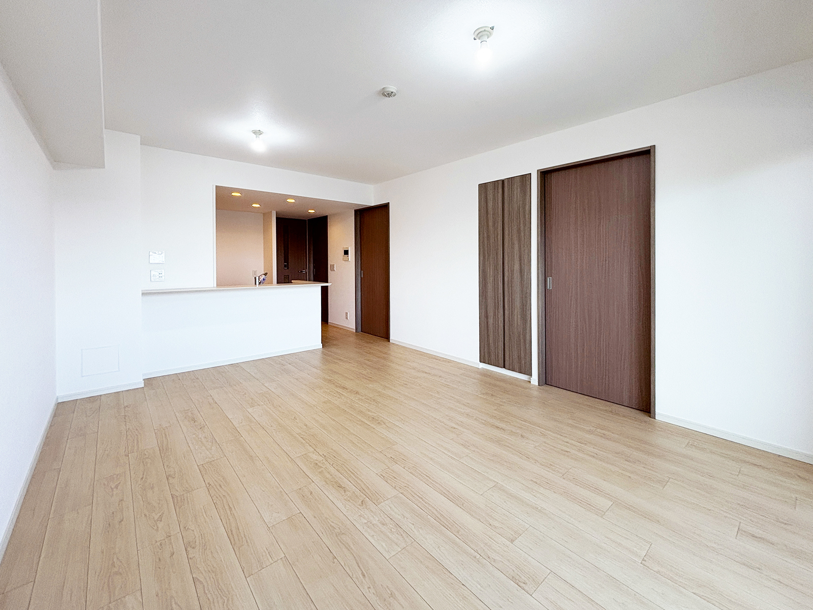 アデニウム篠崎