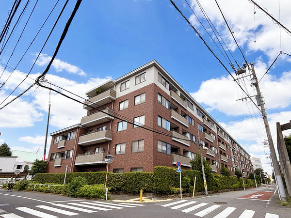 碑文谷ヒルズサレジオ通り(6)